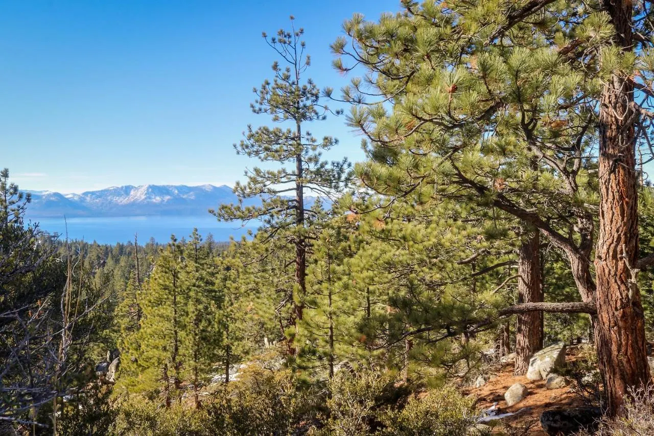 Hotel Pine Tree Place - Unit 1 South Lake Tahoe